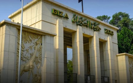 Giza Zoo to Reopen in September 2025 After Major Renovation